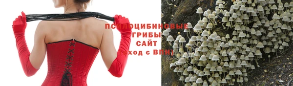 MESCALINE Дмитров