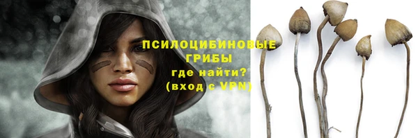 ALPHA-PVP Дмитровск