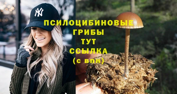 альфа пвп Ельня