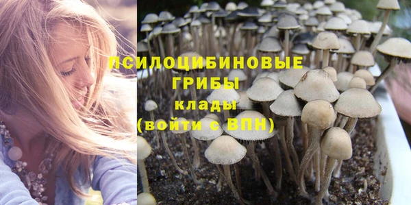 ALPHA-PVP Дмитровск